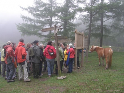 Excursiones didácticas