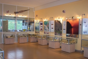 Sala historia geología de Euskal Herria